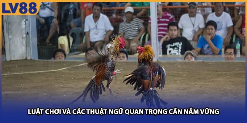 Luật chơi và các thuật ngữ quan trọng cần nắm vững tại lv88