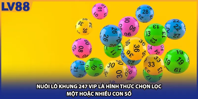 Nuôi lô khung 247 vip là hình thức chọn lọc một hoặc nhiều con số