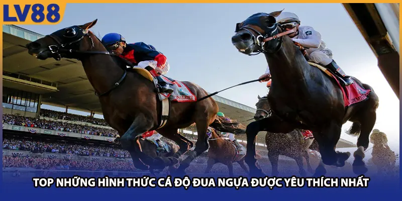 TOP những hình thức cá độ đua ngựa được yêu thích nhất