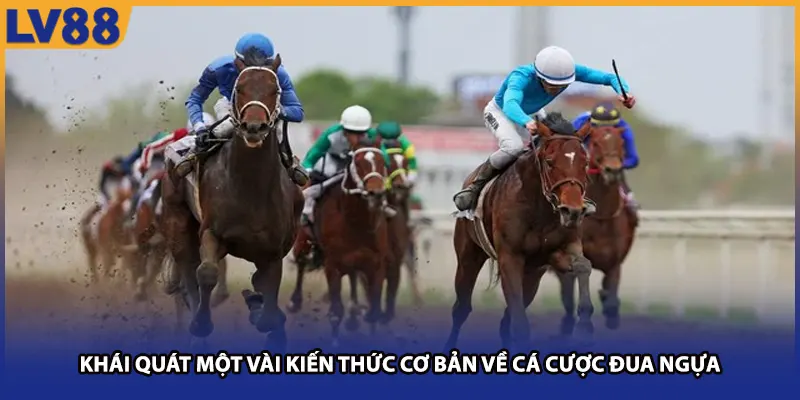 Khái quát một vài kiến thức cơ bản về cá cược đua ngựa